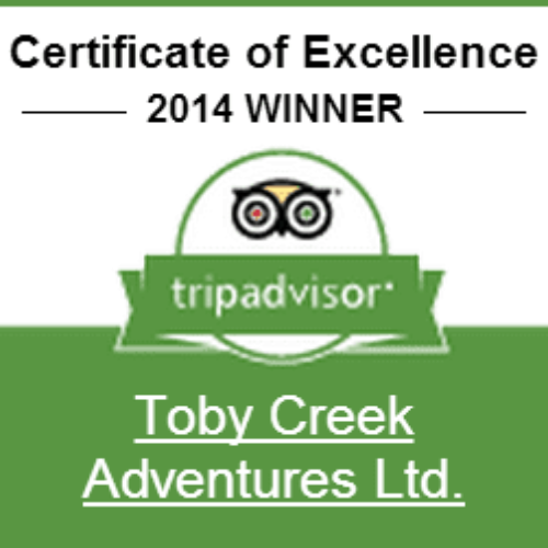 Trip Advisor Certificate of Excellence Award 2014