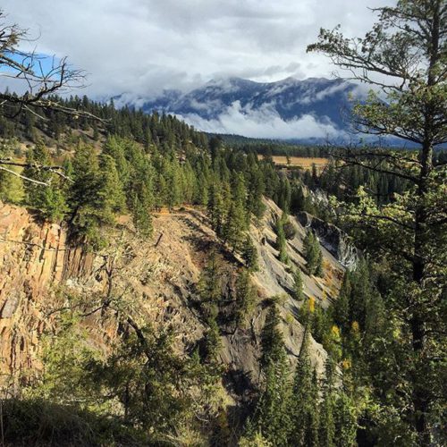 A viewpoint on the Waterfall and Wetlands Tour yesterday. This …