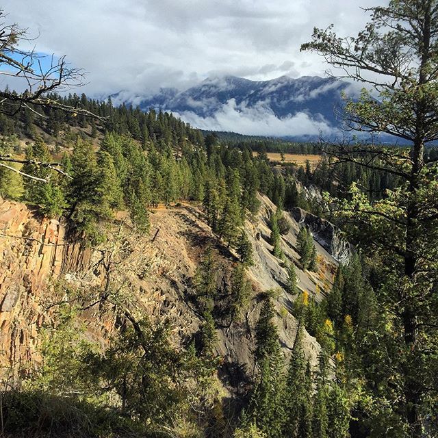 A viewpoint on the Waterfall and Wetlands Tour yesterday. This 2-hr tour in our passenger van is an easy way to see some of the Columbia Valley's best fall scenery.