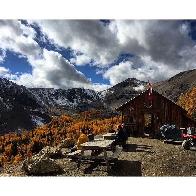 It's that time of year at Paradise Cabin. Just an amazing front row view of fall colours in the alpine.