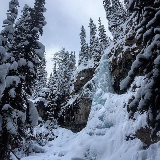 Always spectacular in early winter - the Smith Falls beside the trail to Paradise Basin.