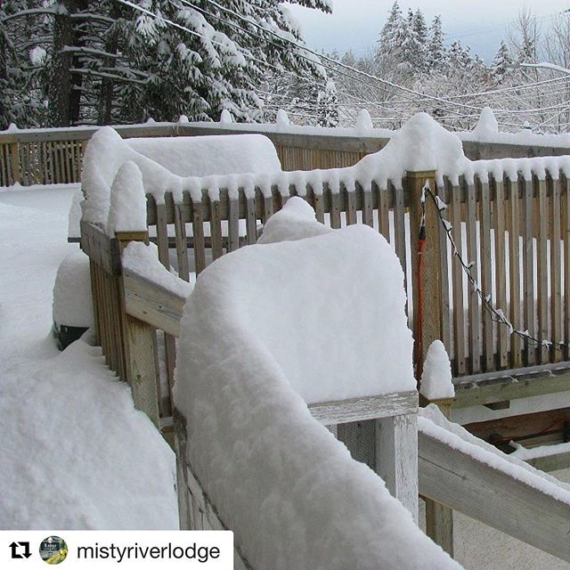 Our friends at @mistyriverlodge offer great hostel style budget accommodation and hospitality  in #radiumhotsprings and they share lots of great pics on Instagram. ************ #Repost @mistyriverlodge with @repostapp
・・・
Snow, glorious #snow ! Spent the last couple of days digging ourselves out but now have time to post some photos. Oh, and tomorrow we'll go out and play! Woohoo! #snowtime #playtime #funtimes #radiumhostel #radiumhotsprings