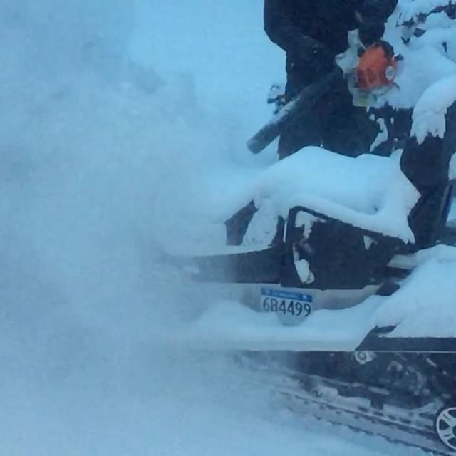 #SnowDay !! Today's #snowmobile tour guests have fresh pow awaiting them ???????? #PanoramaBC #Banff #Canmore #CanadianRockies