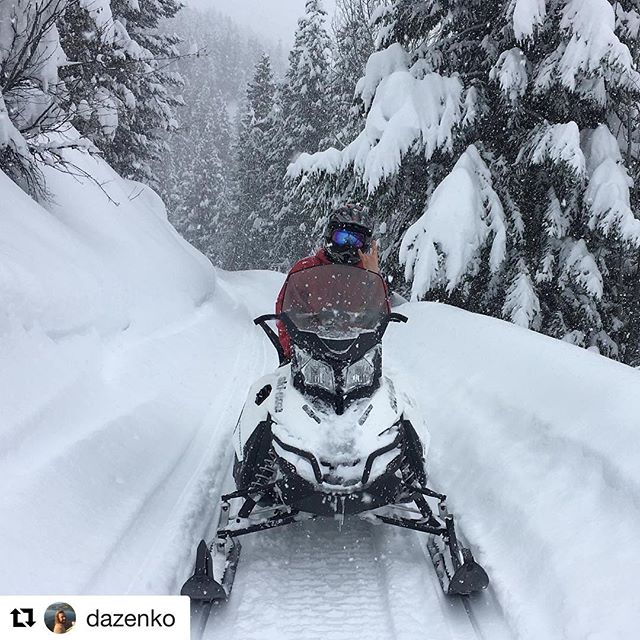 Instagram repost from @dazenko ・・・
On Thursdays we sled #skidoo #sledding #powderweek @maddiedazenko @tobycreekadv