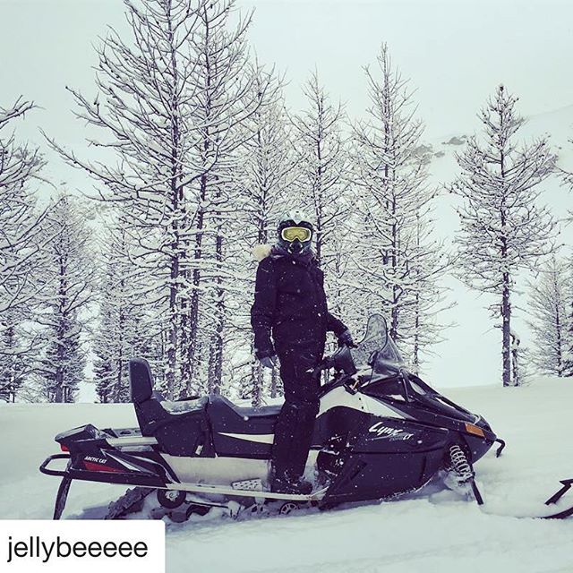 Instagram Repost from @jellybeeeee ・・・
#snow #canada #fun #mountain #tobycreekadventures #snowmobile #snowmobiling