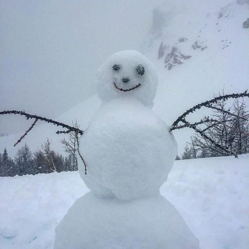 Another happy visitor to Paradise Basin today! #snow #snowday #powdersnow …