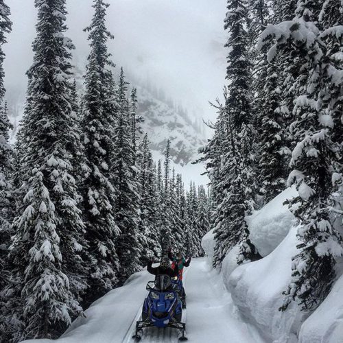 Fresh tracks in a #winter wonderland on the trail to …