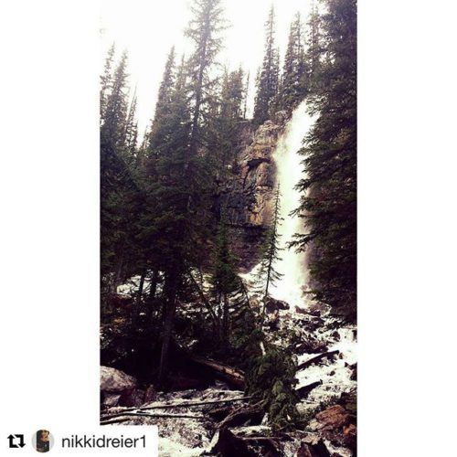 #Repost @nikkidreier1 ・・・ Toby Creek adventures. Waterfall views ???? #tobycreekadventures …