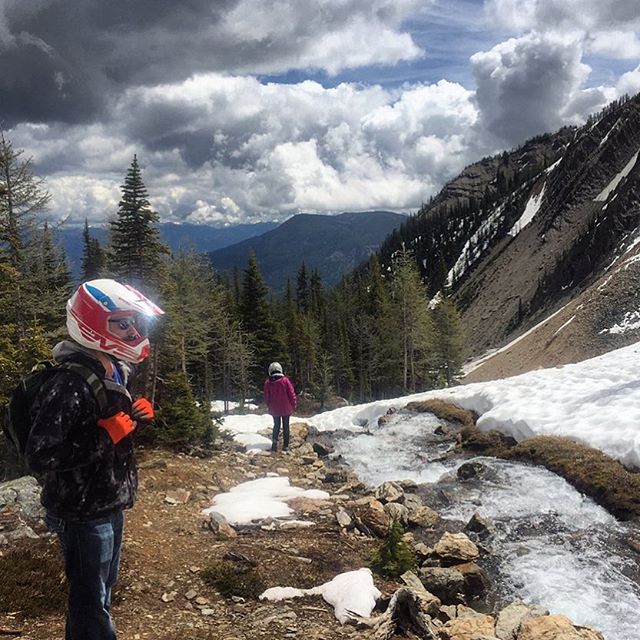 It's officially the first day of #summer. At 8000' in #ParadiseBasin the snow is melting, the creeks are running, the #Larches are green again and the #crocuses  are blooming. It's a perfect time to visit the #alpine on an #ATV tour.