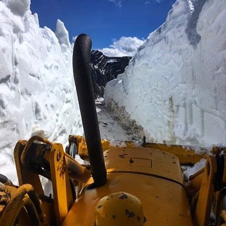 ALMOST THERE !! We've been working hard to get the alpine trail open to Paradise Ridge. Here's a photo from yesterday - the first day of summer ????