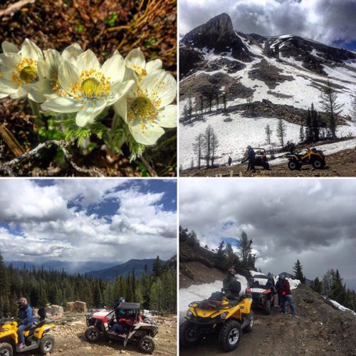 There’s nothing quite like one of our #ATV tours! *************************** …