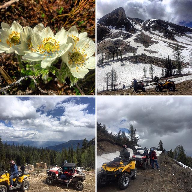 There's nothing quite like one of our #ATV tours! *************************** "Out of all of our excursions we did during our week long vacation in the Canadian Rockies, our kids rated this one the best." - Ryan (recent Trip Advisor Review). #banff #canada150 #columbiavalley #canadianrockies