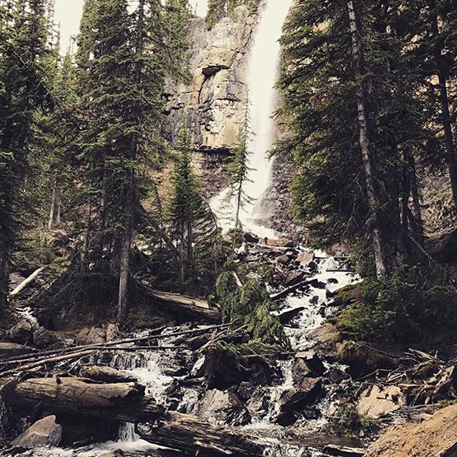 #Repost @anaqui7 ・・・
What an adventure! ATVd up to this beautiful waterfall! #tobycreekadventures #smithfalls  #paradisebowl #atvadventure #panoramabc #invermerebc #explorebc #beautifulbc #Kootenays #aingeinthekootenays