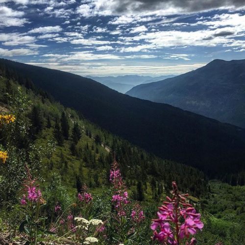 Just another day at the “office” #ATVtour #panoramabc #purecanada #wildflowers …