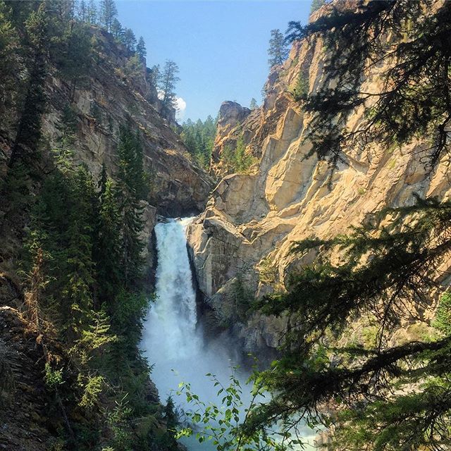 Forster Falls yesterday on our #Wetlands and #Waterfall #ecotour. #tobycreekadventures #canadianrockies #kootrocks