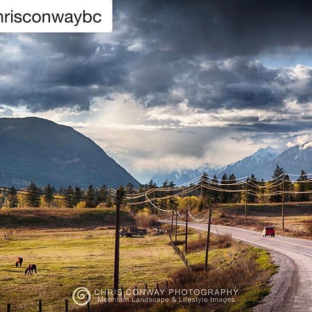 It's well worth the drive to get here. 
#Repost from @chrisconwaybc ・・・
If the intermittent #bcwildfire closures of Hwy 93 causes you to think twice about visiting the #ColumbiaValley don't be deterred. Highway 95 from #GoldenBC to @tourismradium is one of the finest scenic drives in the #CanadianRockies. A bit longer but so worth it. Stop in at the Spilli Station for coffee by the river in #spillimacheen on the way.