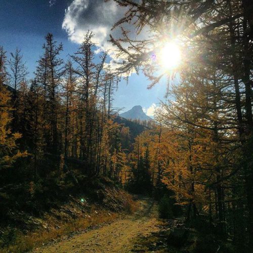 At this time of year our #ATV trails are lined …