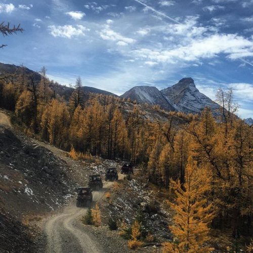 Take the road less travelled this fall. #atvtours #PurcellMountains #CanadianRockies …