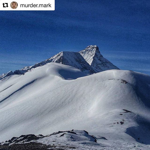 #Repost from @murder.mark ・・・
Mt Nelson from Paradise ridge.
@tobycreekadv 
#paradise #alpine #kootrocks #hellobc #braap #twostroke #kootenays #purcell #kootenayviews #bluebird  #winterfun #snowmobile #explorebc