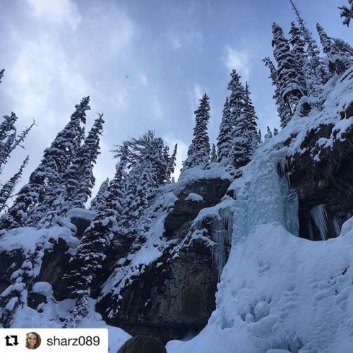 REPOST: @sharz089 ・・・ Frozen Waterfall❄️ #snow #canadianrockies #waterfall #exploring #britishcolumbia …