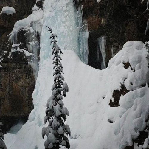REPOST: @courtney_anne_wells ・・・ Frozen waterfall #tobycreekadventures #waterfalljunkie