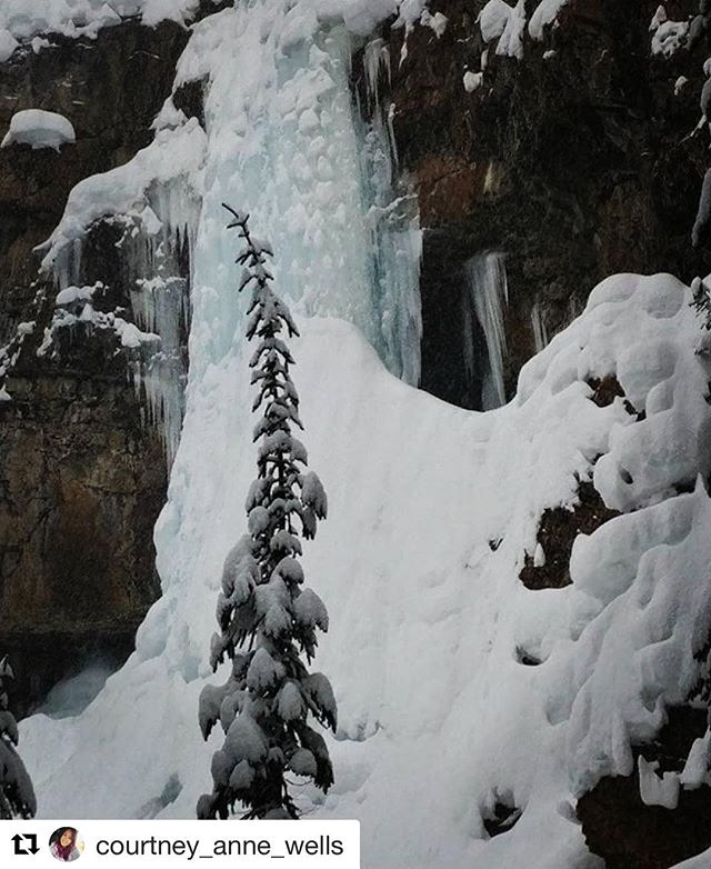 REPOST: @courtney_anne_wells ・・・
Frozen waterfall #tobycreekadventures #waterfalljunkie