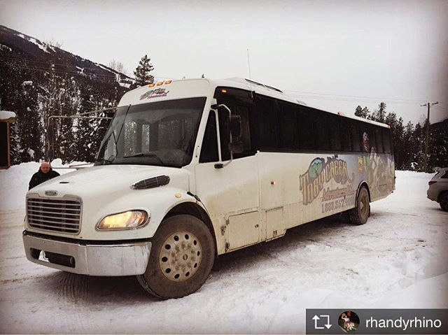 Repost from @rhandyrhino .

Heeba and his wagon, stunning ride out into British Columbia #buslife