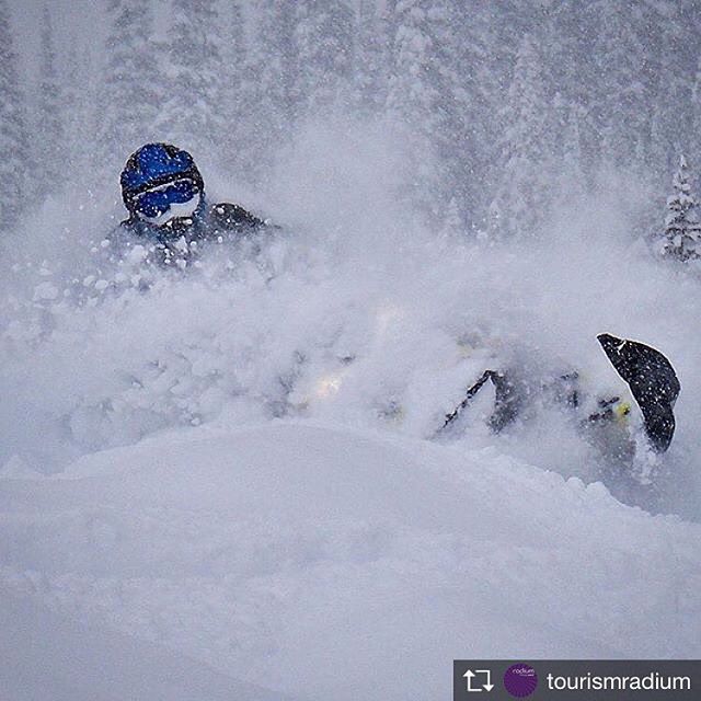 Repost from @tourismradium  Some would say “There’s no better way to find your winter peace then by sled!” ... http://ow.ly/R2FY30i4t2y ????: @kwik_kliker #Radium #TravelCV #ExploreBC #KootRocks