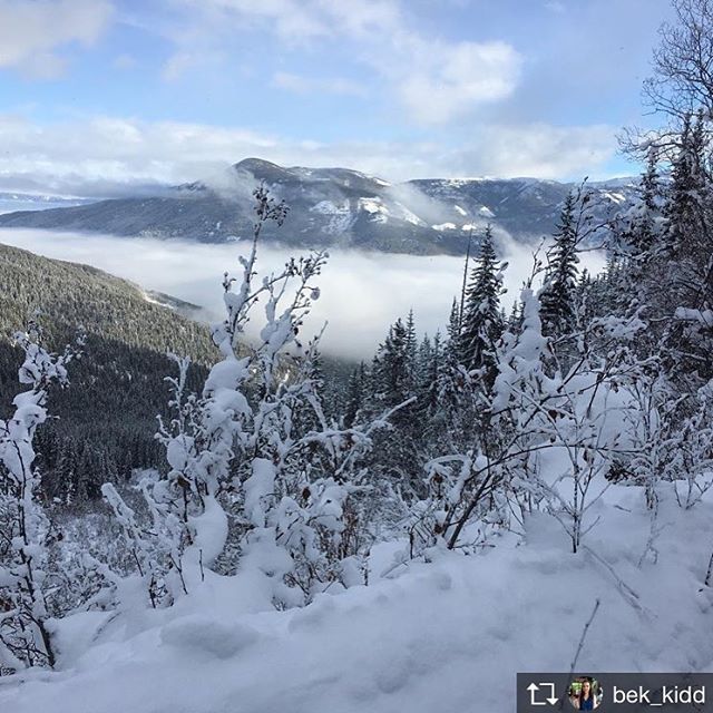 Repost from @bek_kidd This day four weeks ago we were up in the mountains, zooming around on snowmobiles and taking in AMAZING views like this! ????#takemeback #canada #britishcolumbia #breathtakingviews @tobycreekadv