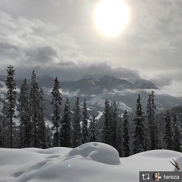 Repost from @tereza  Incredible day of snowmobiling and @msftstartups #teamtime at #tobycreekadventures in British Columbia. #canadianrockies