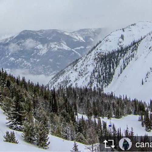 Repost from @canadiannaturenut  The view from 8000 feet. Much …