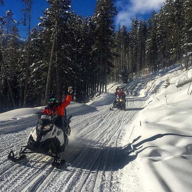 Guide Smitty leading the afternoon half-day tour home yesterday. Western Canada is experiencing a cold snap but an inversion means it’s warmer in the alpine and the clear weather makes for stunning views.  #snowmobiletours #tobycreekadventures #canadianrockies #warmsideoftherockies #skidoo @skidooofficial #banff #panoramabc #paradisemines #purecanada