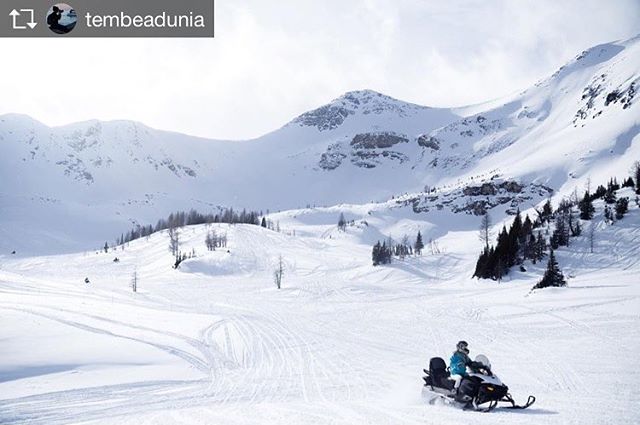 Repost from @tembeadunia Reminiscing our trip to Alberta where we ended up Snowmobiling in British Columbia for a day. You heard right :) From Banff, Alberta the border of British Columbia is less than an hr away!!! @tobycreekadv picked us up from our hotel and took us to Paradise Basin where we gathered at their office, filled out a waiver, got geared up, reviewed safety information and learnt how to ride the snowmobile before we headed up the mountain 8000ft high. It was a day of fun and we all slept like logs on the way back to Banff! #tembeadunia .
.
.
.
.
 #hellobc #canadiancreatives #artofvisuals #awesome_earthpix #landscape_captures #rsa_rural #natureaddict #nature_wizards #imagesofcanada #naturediversity #totescanadian #earth_deluxe #instanaturelover #nature_prefection #allnatureshots #snowmobiling #nature_brilliance #EarthVisuals #canadagram #cangeotravel #insidecanada #planetdiscovery #welivetoexplore  #explorebc #hellobc #explorecanada #beautifulbc #sharebc  #focalmarked