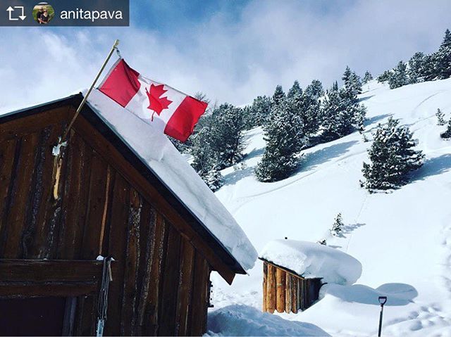 Repost from @anitapava  A delicious lunch in the middle of nowhere! Such fun snowmobiling with Jose of Toby Creek Adventures. Up and down steep inclines of knee deep powder, through trees, and let loose in a large bowl. What a day! ???? #snowmobile #powder #tobycreekadventures #panorama #holidays
