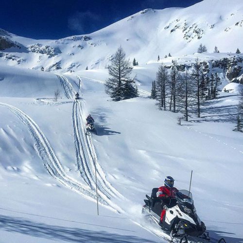 Exploring #ParadiseBasin !! #tobycreekadventures #snowmobiletours #canadianrockies #panoramabc #purecanada #banff #explorebc …