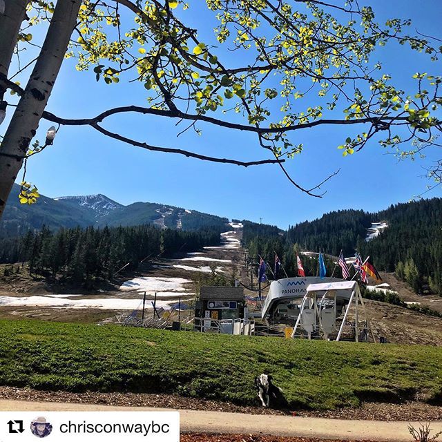 #Repost from @chrisconwaybc
・・・
In this heat the snow is melting fast. It’s like an ice cream at the beach ???? ???? 
#panoramamountainresort #panoramabc #patiolife #kootrocks #warmsideoftherockies #offseason #columbiavalley #explorebc #canada????????