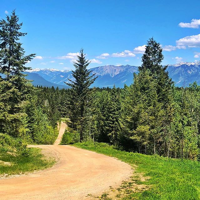 Take the road less travelled. We know where they are and where they go. Join us for 4WD #ATVtour !!
.
.
#tobycreekadventures #canadianrockies #banff #invermere  #panoramabc #radiumhotsprings #kootrocks #explorebc #canada????????