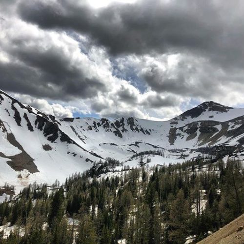 The snow is going up at 8000’ in Paradise Basin. …