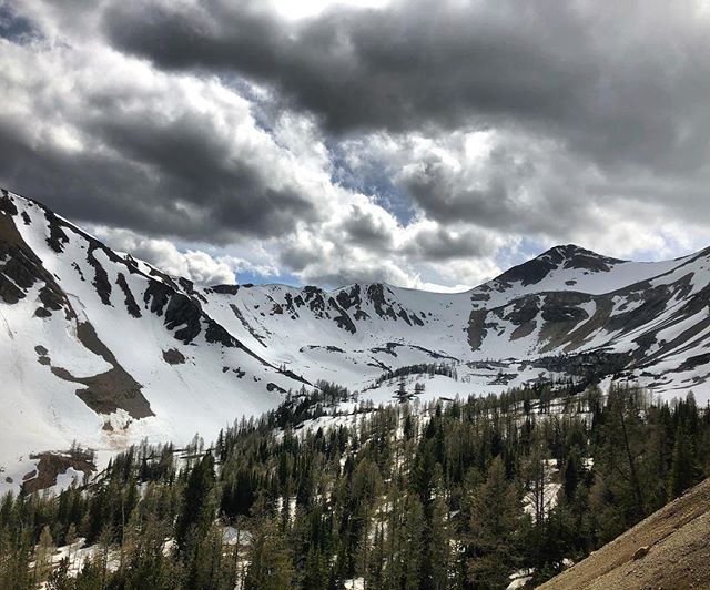 The snow is going up at 8000’ in Paradise Basin. #tobycreekadventures