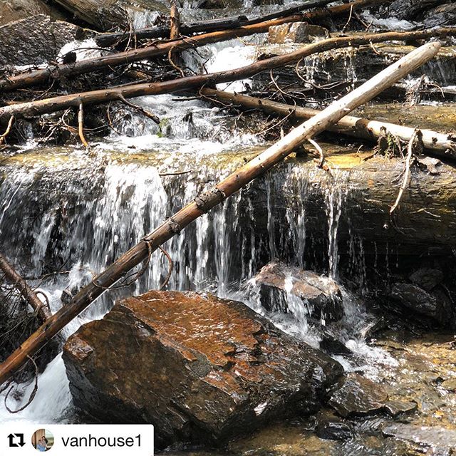#Repost from @vanhouse1 ・・・
Best day of the trip!  So much fun!  #tobycreekadventures