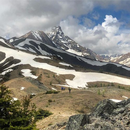 The alpine world of Paradise Ridge (yesterday). . . #alpine …