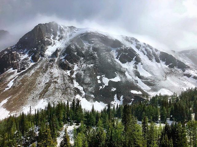 A fresh dusting of snow for the #CanadaDay long-weekend. What can be more Canadian than snow in summer eh?
.
.
It sure was a beautiful sight! #tobycreekadventures #warmsideoftherockies #radiumhotsprings #purecanada #panoramamountainresort #canadianrockies