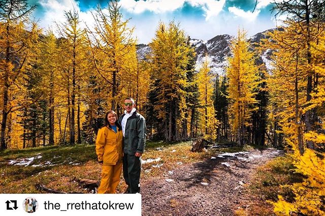 A spectacular Larch photo from earlier in the fall.
.
.
#Repost from @the_rrethatokrew ・・・
Anyone else think being on top of a mountain is the most inspiring place to be? We always come back from a trip to the mountains feeling so recharged and ready for anything ???? also how gorgeous are these yellow trees! (Don’t mind our super cool ATV attire ????) #mountains #adventure #adventuretime #adventureseekers #explore #exploremore #getoutside #visitcanada #canada #britishcolumbia #beautifulbc #explorecanada #couplegoals #coupleswhotravel