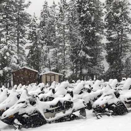 It’s snowing! More in the forecast! The sleds are out of storage and getting prepped.  We still need more snow at lower elevations to open the season but this is a great start. Stay tuned for further updates !! ????????❄️❄️❄️❄️
.
.

#tobycreekadventures #snow #snowmobiletours #panoramamountainresort #canadianrockies #kootrocks #banff #canmore #alberta #britishcolumbia #purecanada #slednecks #skidoo #canada ????????