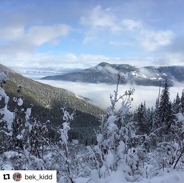 #Repost from @bek_kidd ・・・
Wish we were visiting these beautiful mountains again this Jan! ????????#whataview #somagical #canada  @tobycreekadv