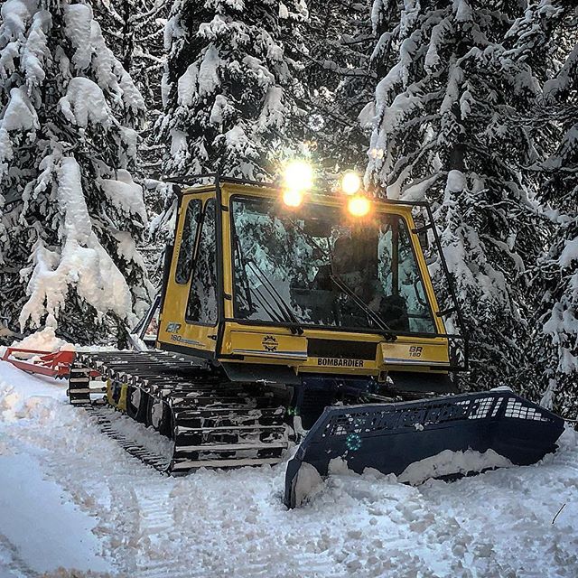 We are really excited to add this #bombardier BR180 to our grooming fleet this winter. As our last tour groups of the day are returning to base our BR180 heads out to sculpt and smooth the trail ready for a whole new day tomorrow ????
.
.
#snowgroomer #snowgrooming #tobycreekadventures #purecanada #panoramamountainresort #canadianrockies #banff #snow #br180
.
Photo: @chrisconwaybc