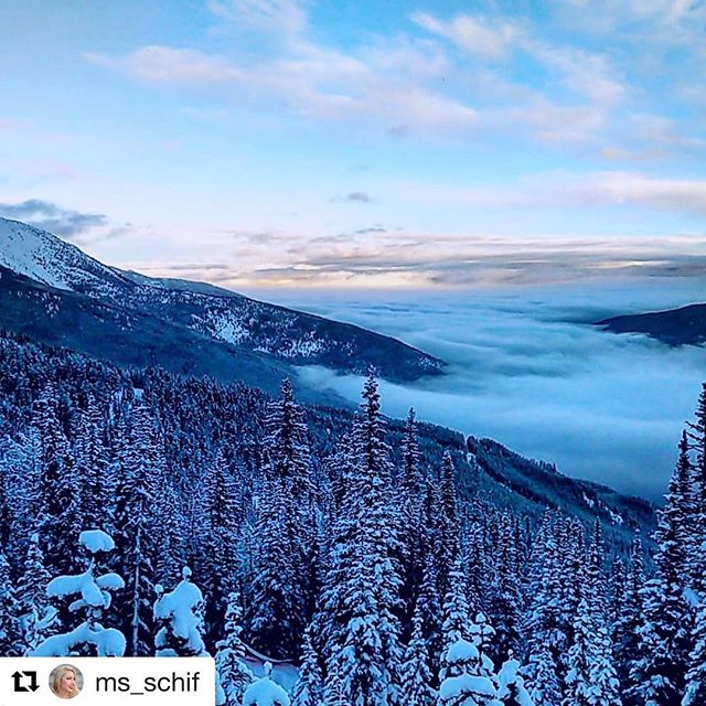 #Repost from @ms_schif
・・・
A true winter wonderland in fresh mountain air above the clouds. Picture taken on Paradise Mountain. Spectacular views on the #skidoo expedition! (Thanks @tobycreekadv )
.
.
.
.
.
.
.
.
.
.
.
.
#beautifulcanada #rockymountains
#travelandbehappy #canadianbloggers
#instablogger
#instatravelgram #exploringmakesmehappy
#canadianrockies
#mountains #gotmountains #ilovewinter
#canadiangirl #yegbachelorette
#yeginstablogger
#winterwonderlens #solsticesunset