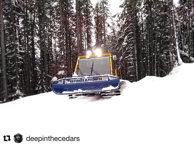 #Repost @deepinthecedars
・・・
...they call him BR Barsby...