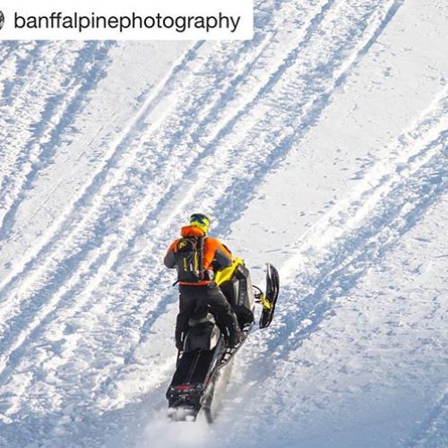 #Repost from @banffalpinephotography ・・・ Mountain sleds, available at #TobyCreekAdventures .