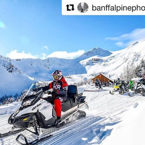 #Repost @banffalpinephotography with @get_repost ・・・ Beautiful days at 8, 000ft! …